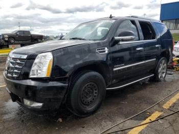  Salvage Cadillac Escalade