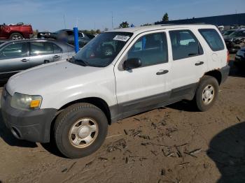  Salvage Ford Escape