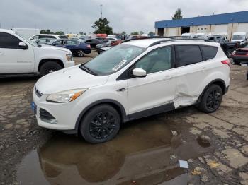  Salvage Ford Escape