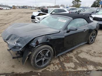  Salvage Ford Mustang