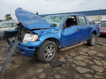  Salvage Ford F-150