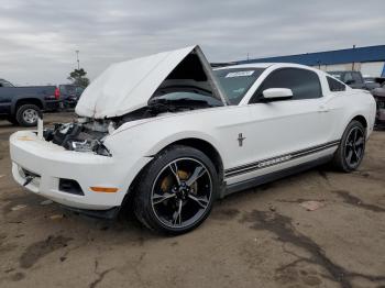  Salvage Ford Mustang