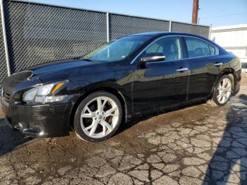  Salvage Nissan Maxima