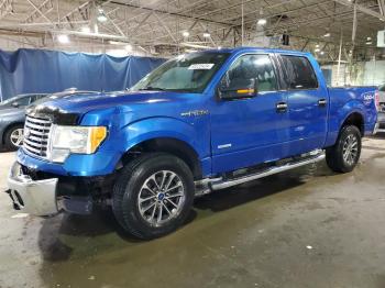  Salvage Ford F-150