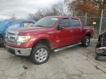  Salvage Ford F-150