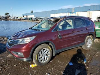  Salvage Honda Crv