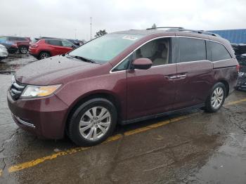  Salvage Honda Odyssey