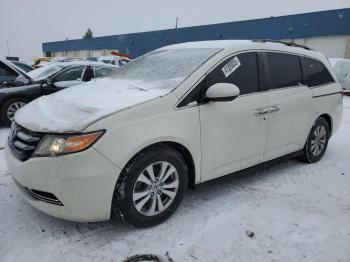  Salvage Honda Odyssey