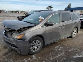  Salvage Honda Odyssey