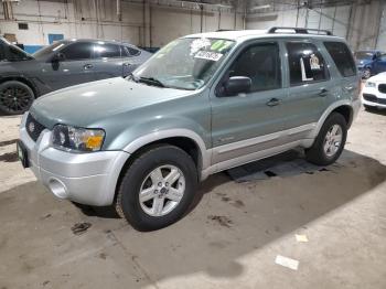  Salvage Ford Escape