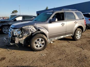  Salvage Ford Escape