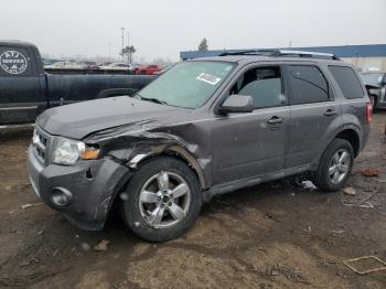  Salvage Ford Escape