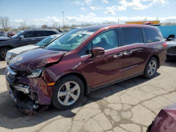  Salvage Honda Odyssey