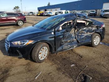  Salvage Hyundai ELANTRA