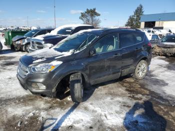  Salvage Ford Escape