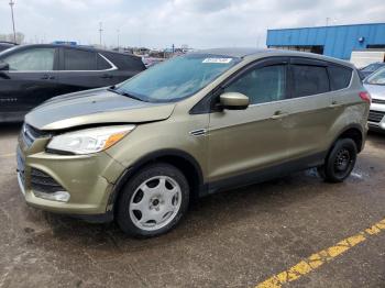  Salvage Ford Escape