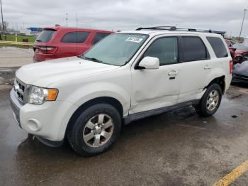  Salvage Ford Escape