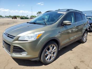  Salvage Ford Escape