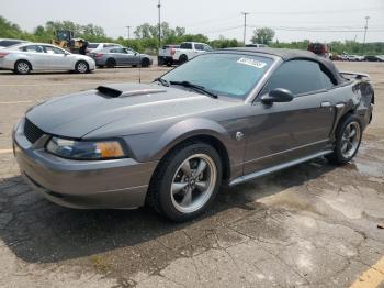  Salvage Ford Mustang