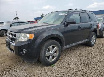  Salvage Ford Escape