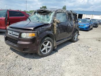  Salvage Honda Element