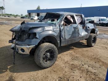  Salvage Ford F-150