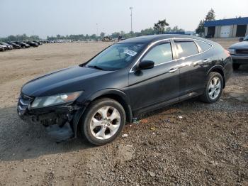  Salvage Hond Crosstour