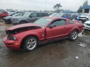  Salvage Ford Mustang