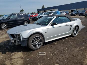  Salvage Ford Mustang