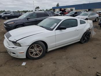  Salvage Ford Mustang
