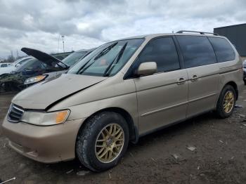  Salvage Honda Odyssey