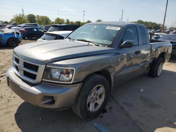  Salvage Dodge Dakota