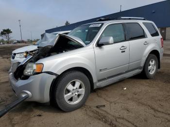  Salvage Ford Escape