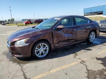  Salvage Nissan Maxima