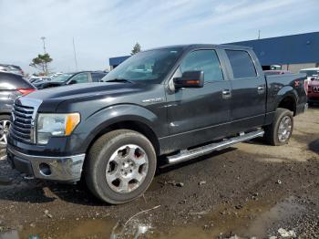  Salvage Ford F-150