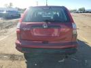 Honda Crv Lx Image 5