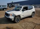 Jeep Renegade Trailhawk Image 1