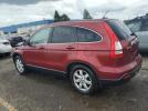 Honda Crv Exl Image 3