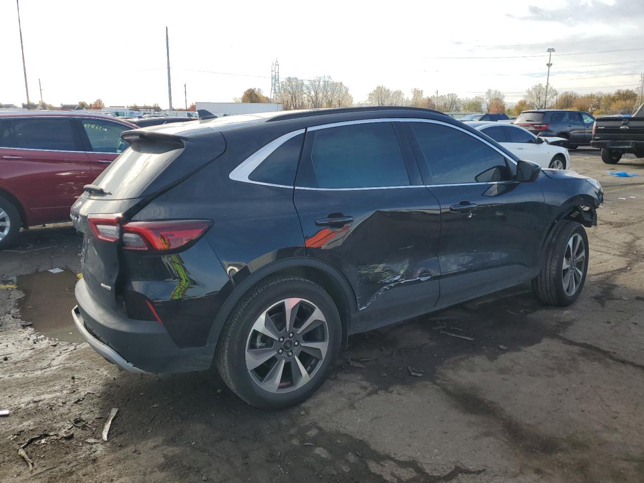 Ford Escape Platinum Image 6