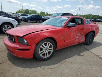  Salvage Ford Mustang