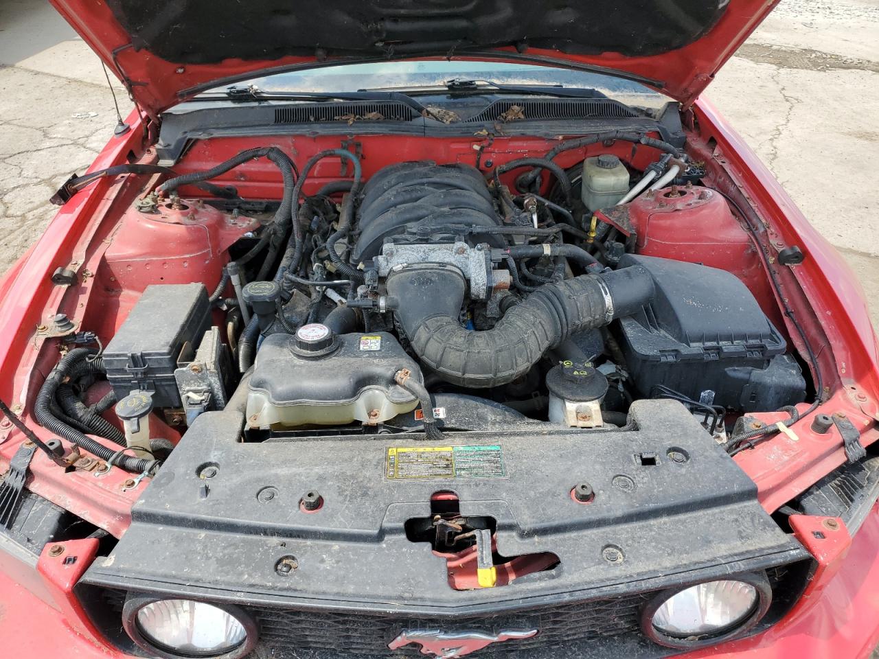 Ford Mustang Gt Image 12