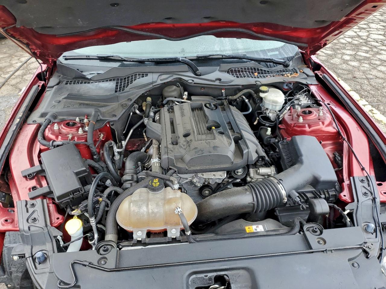 Ford Mustang Image 12