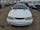 Ford Mustang Cobra Image 3