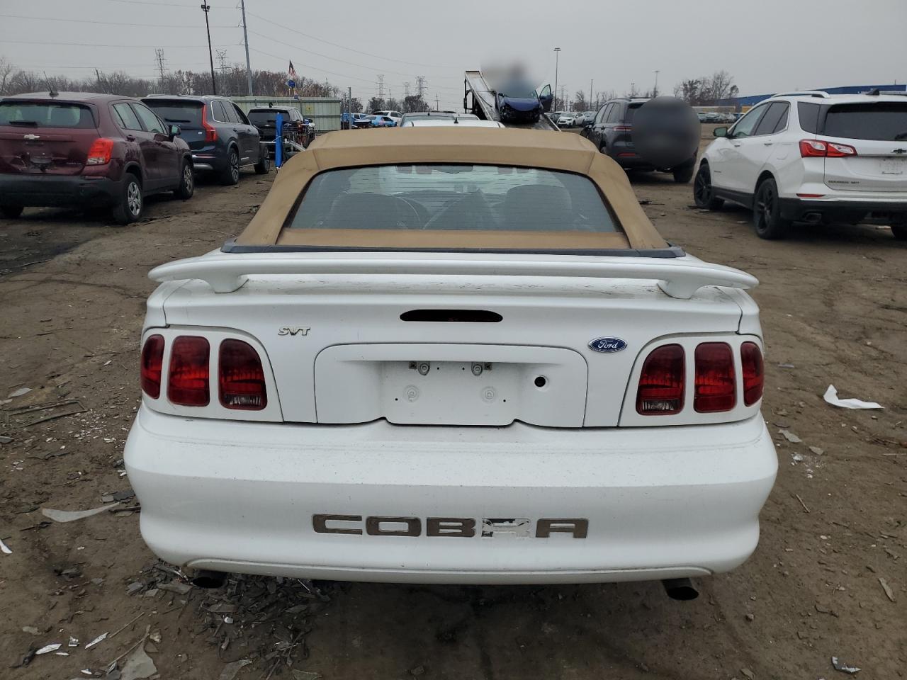 Ford Mustang Cobra Image 6