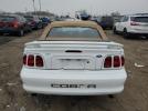 Ford Mustang Cobra Image 6
