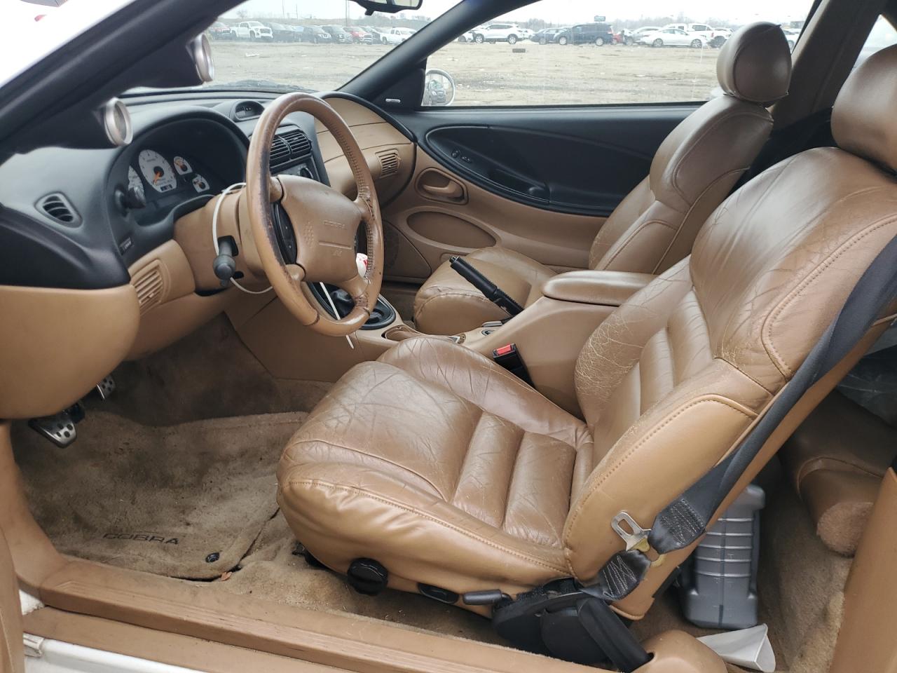 Ford Mustang Cobra Image 10