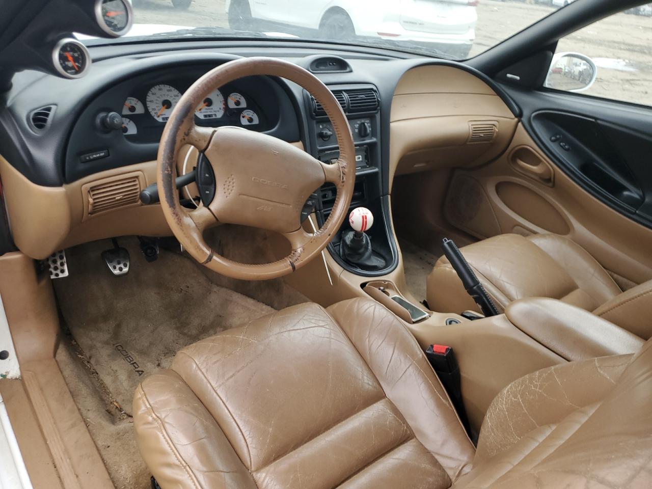 Ford Mustang Cobra Image 4