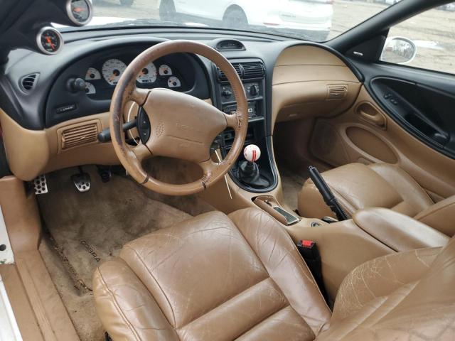 Ford Mustang Cobra Image 4