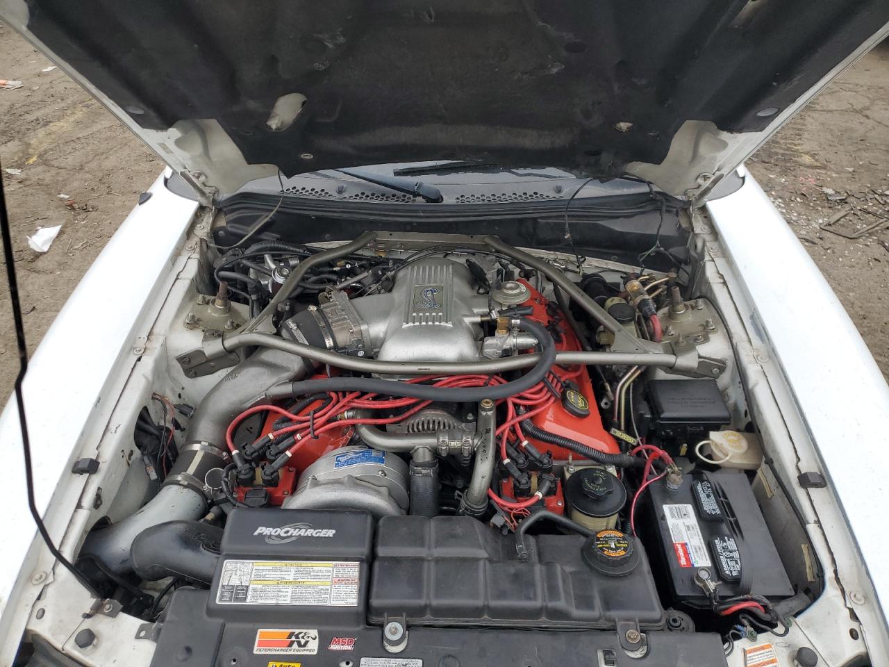 Ford Mustang Cobra Image 8