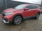Honda Crv Exl Image 1